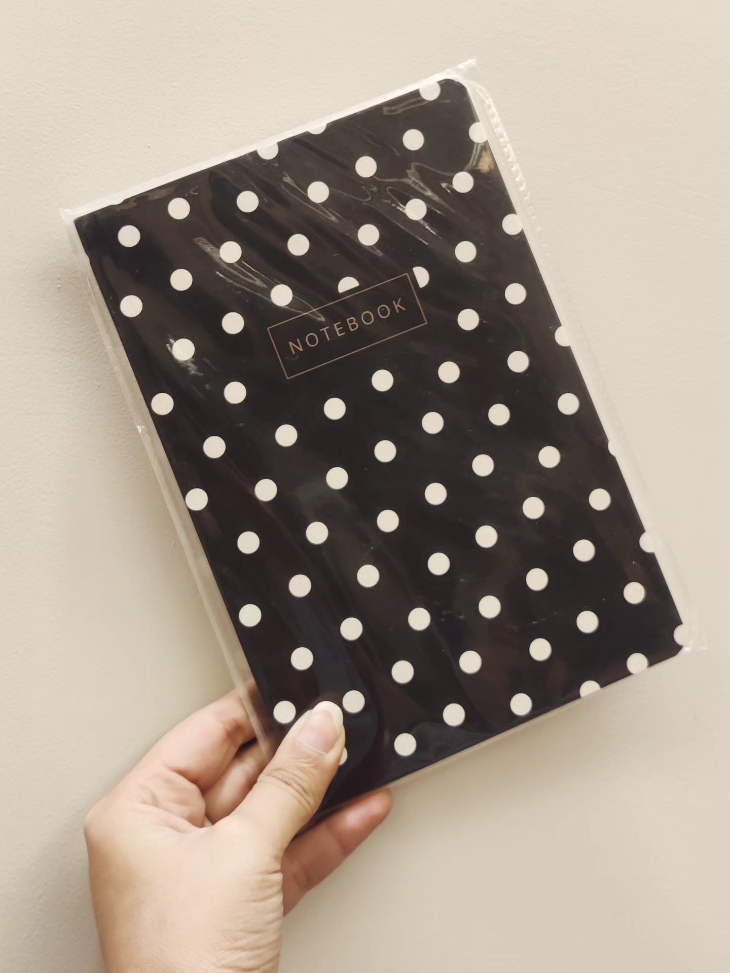Polka Dot Slim Diary